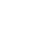 Clip path group (11)