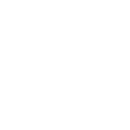 Clip path group (13)